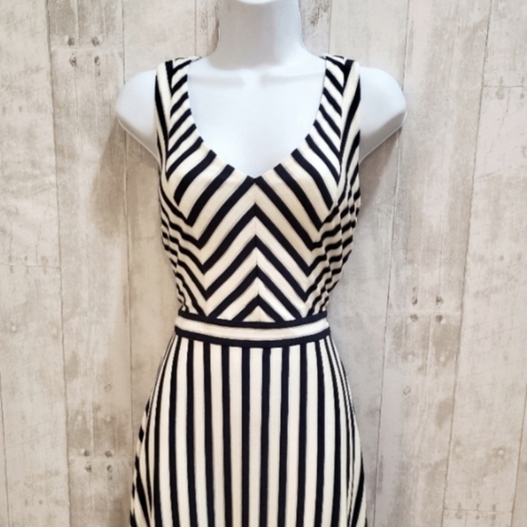 NWT ETCETERA Navy &  White Striped Fit & Flare Sleeveless Midi Dress Size 2 - Picture 4 of 5
